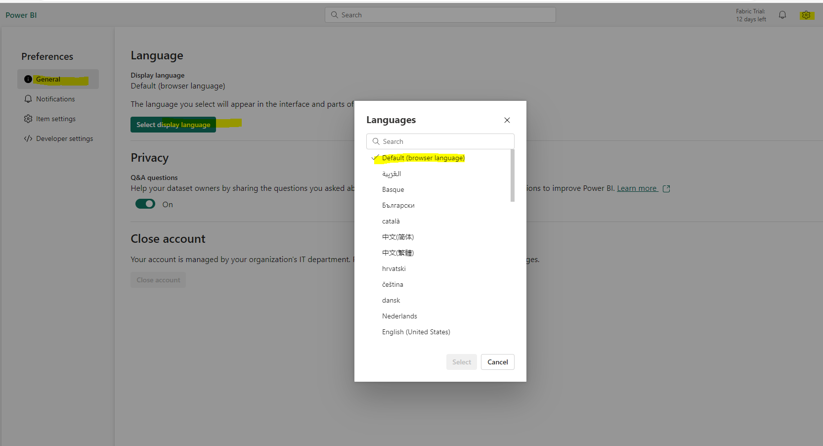 Issue with Power BI Paginated Report Date Format in Different Regional Settings